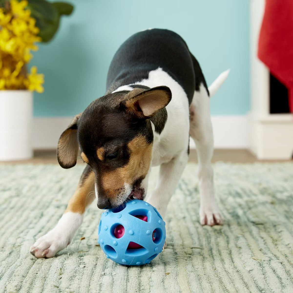 FurryFido Interactive Treat Dispensing Soccer Ball Dog Chew Toy, Blue