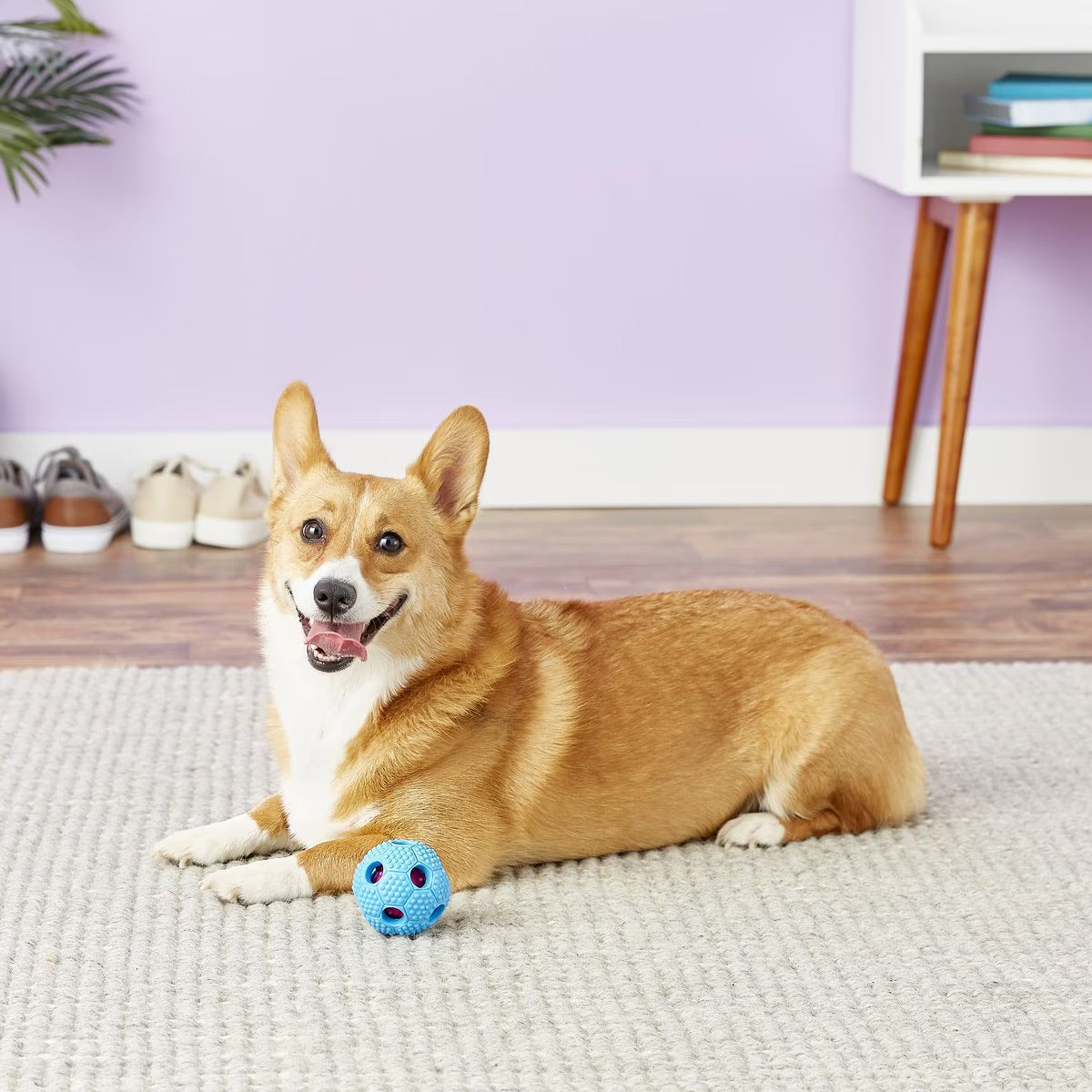 Interactive dog ball by furryfido hotsell