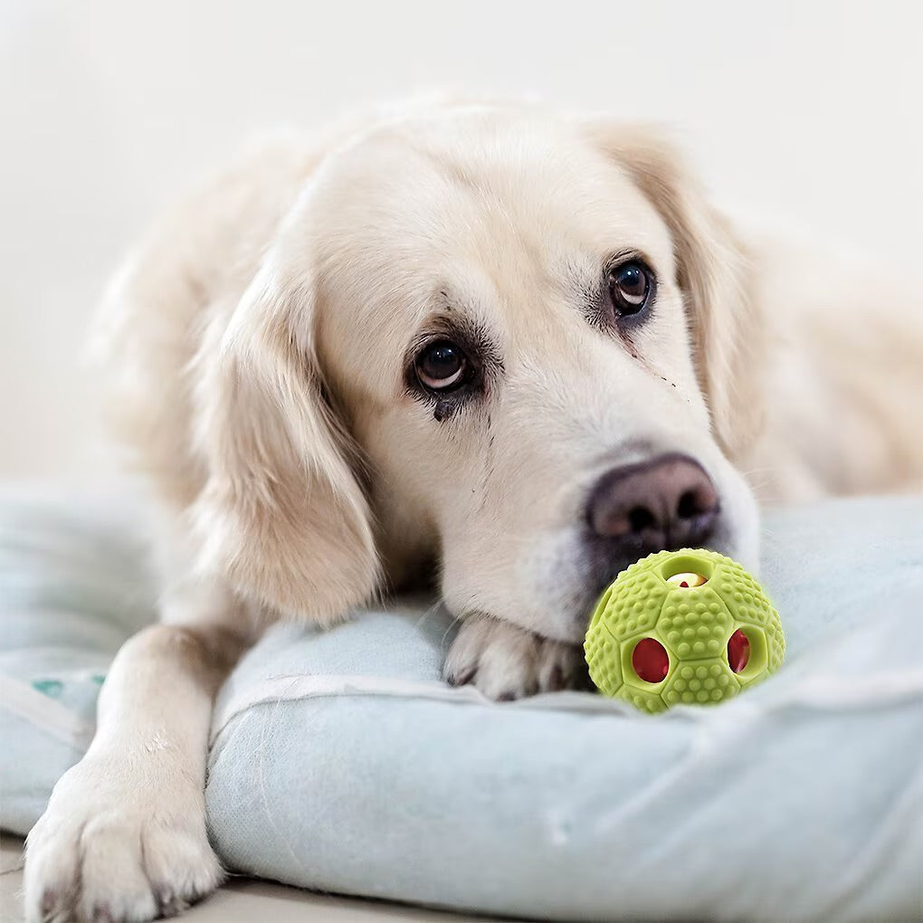 FurryFido Interactive Treat Dispensing Soccer Ball Dog Chew Toy