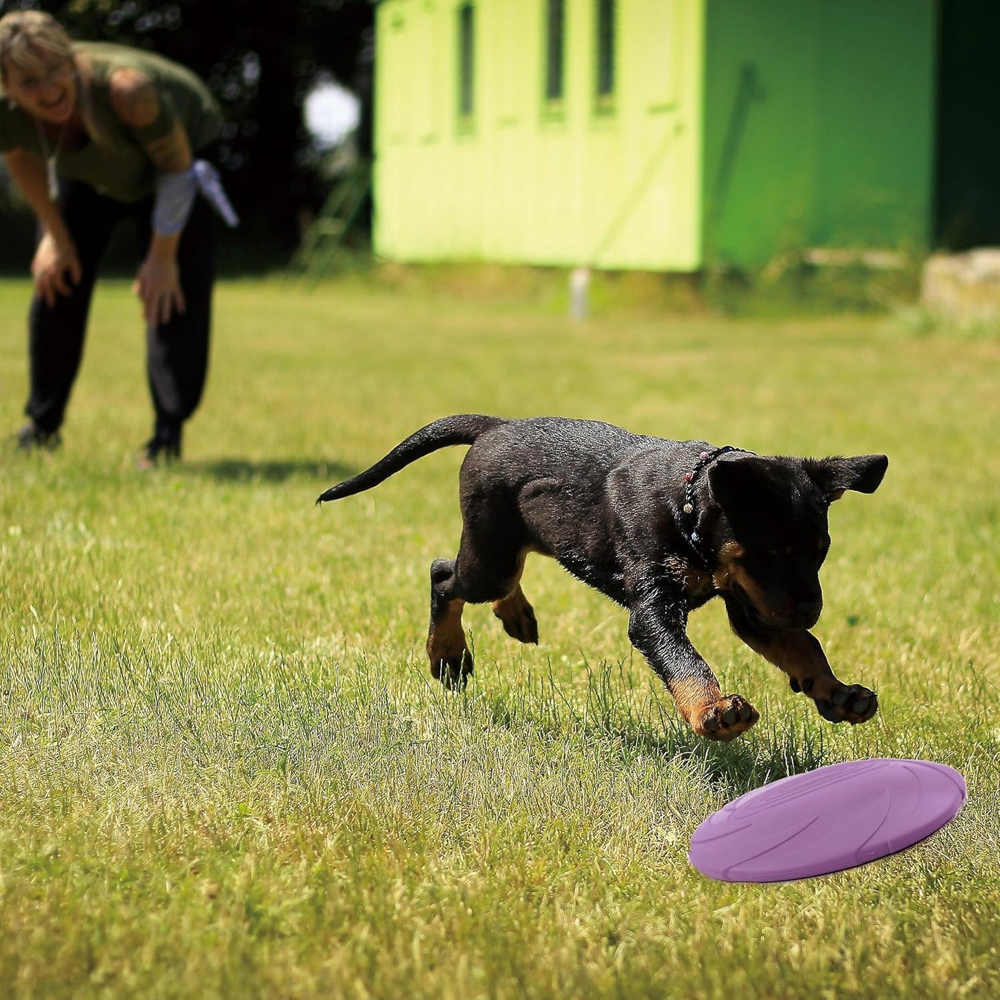 FurryFido Dog Frisbee Chew Toy: Natural Rubber Chew and Fetch Frisbee